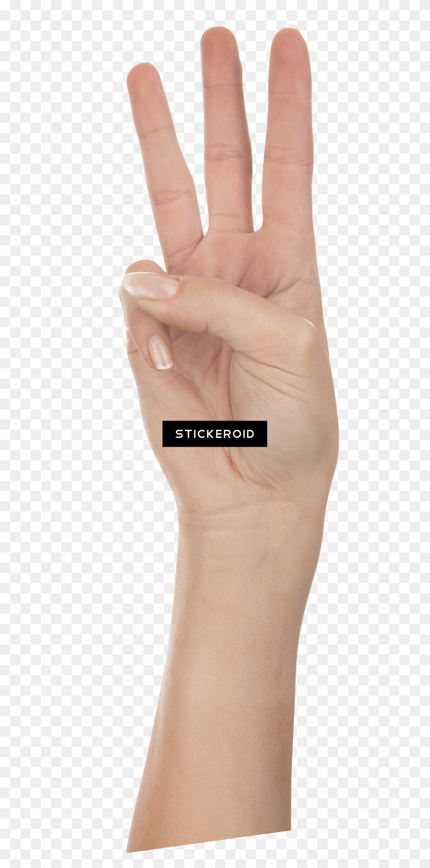 1373x2883 Three Finger Meme Sign Language, Hand, Wrist, Person HD PNG Download