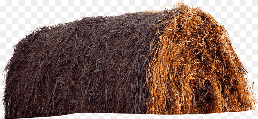 2603x1208 Three Hours To Drive Two Days To Escape Hay, Countryside, Nature, Outdoors, Straw PNG