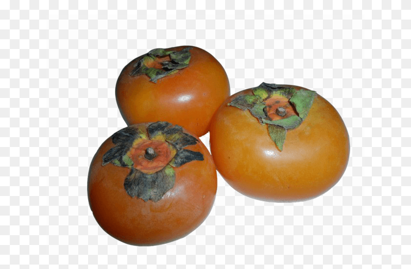 650x489 Three Persimmon Transparent Image Persimmon, Fruit, Produce, Plant HD PNG Download