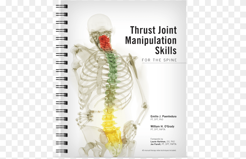 485x545 Thrust Joint Manipulation Skills For The Spine Thrust Joint Manipulation Sticker PNG