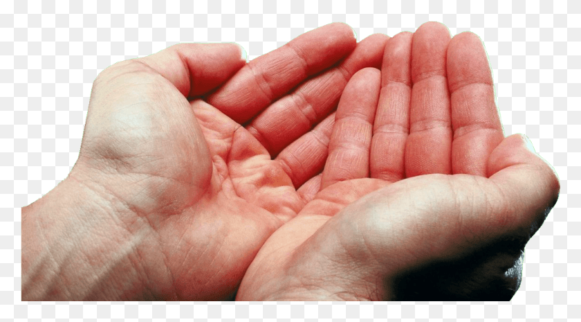 1008x524 Thumb Image Cupped Hands, Hand, Finger, Person HD PNG Download