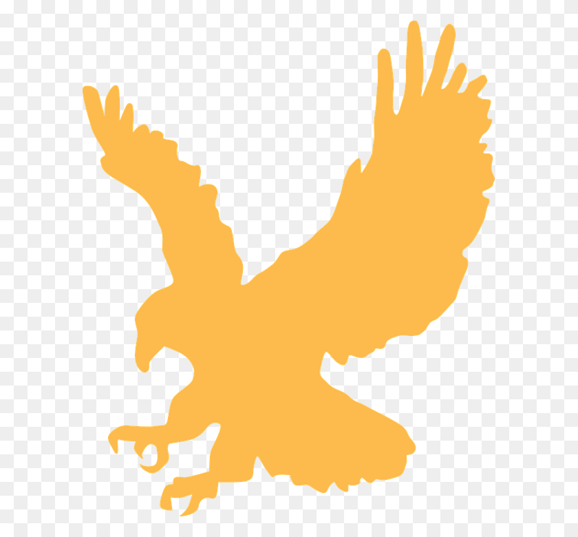 599x720 Thumb Image Logo With Black Eagle, Person, Human, Animal HD PNG Download