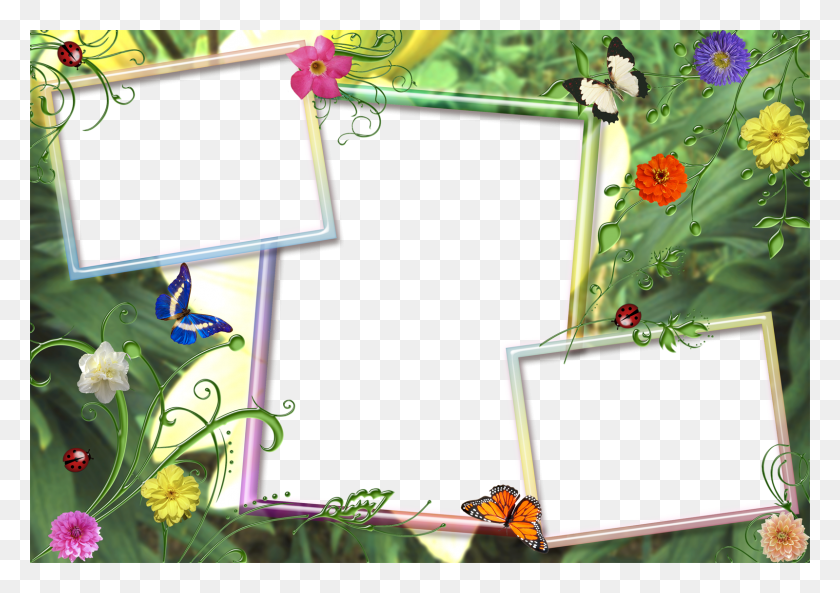 1600x1094 Thumb Image Picture Frame, Plant, Graphics HD PNG Download