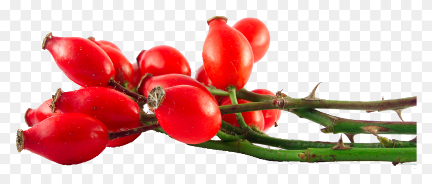 941x361 Thumb Image Radha Rosehip Oil Acne, Plant, Fruit, Food HD PNG Download