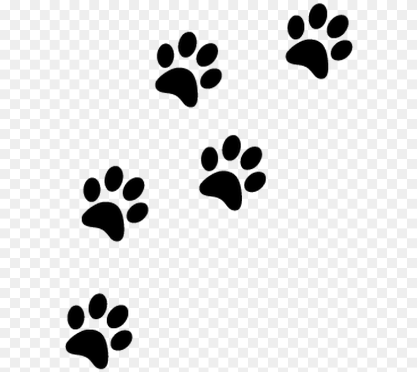 590x749 Thumb Image Transparent Cat Paw Prints, Footprint Sticker PNG
