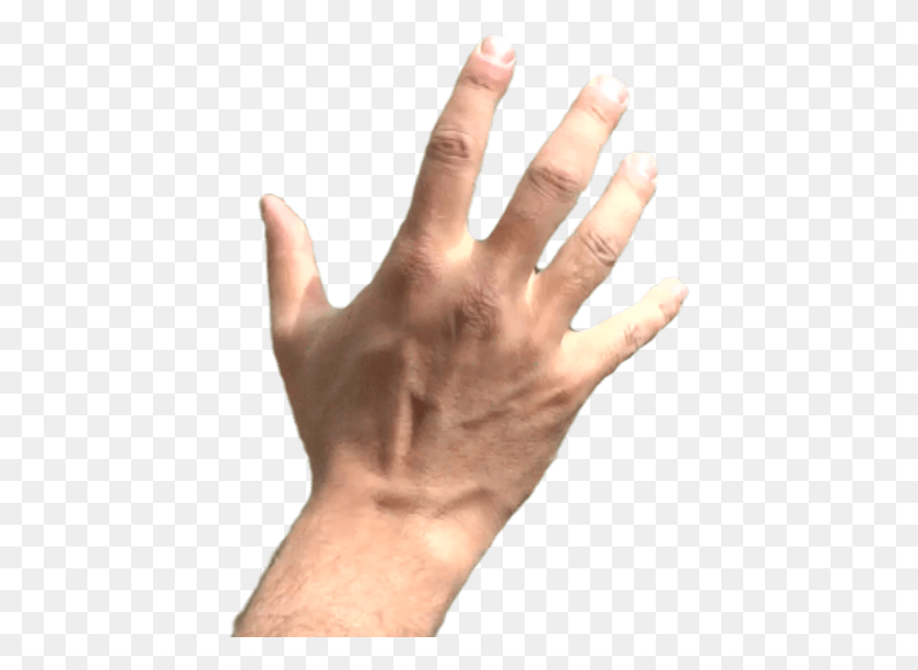 424x553 Png Изображение - Большой Палец Руки, Рука, Запястье, Человек Png.