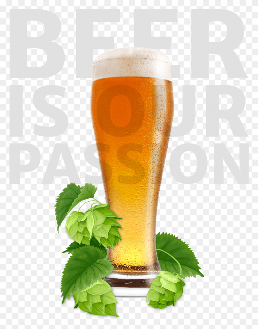 981x1274 Thumbnail Lager, Glass, Beer Glass, Beer HD PNG Download