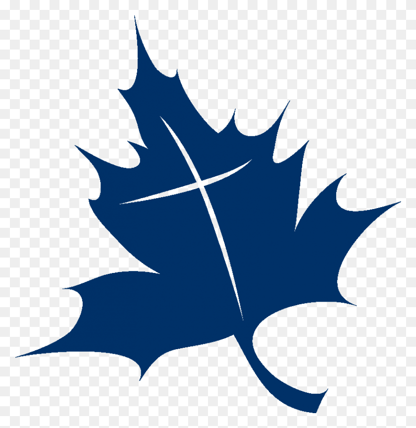 815x841 Ticc Leaf Logo Maple Leaf, Plant, Person, Human HD PNG Download