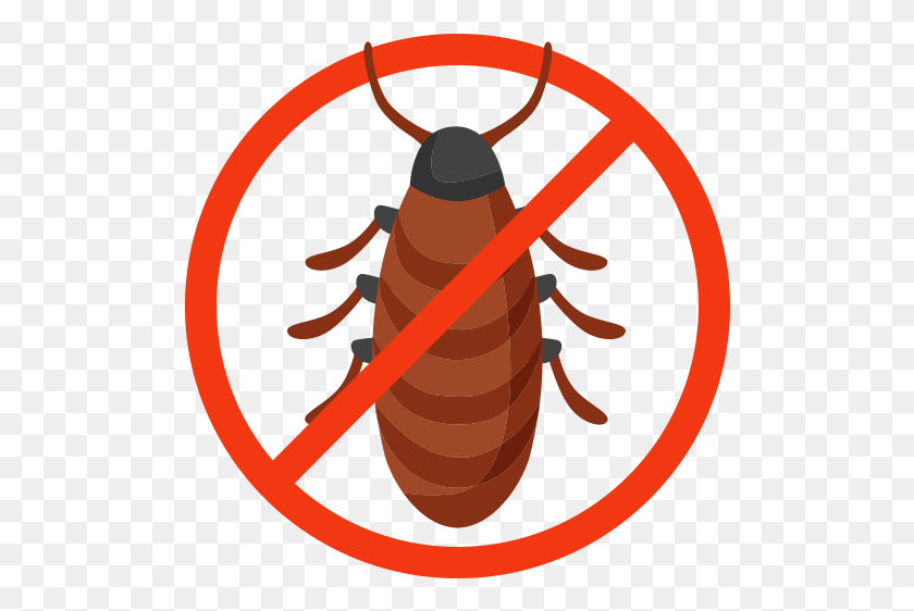 502x502 Ticks, Insect, Invertebrate, Animal HD PNG Download