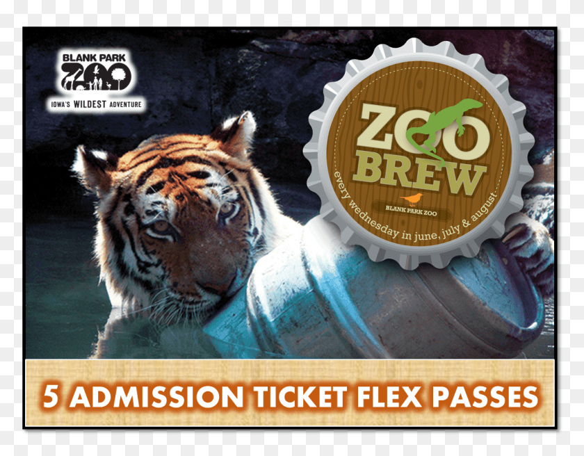 1026x784 Тигр Пустой Парк Зоопарк, Дикая Природа, Млекопитающее, Животное Hd Png Скачать