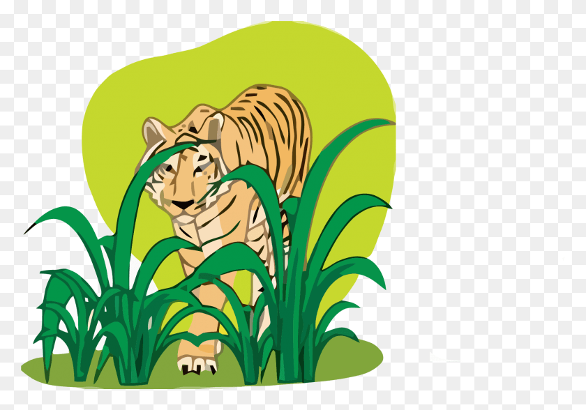 1782x1208 Tigre Png / La Vida Silvestre Png