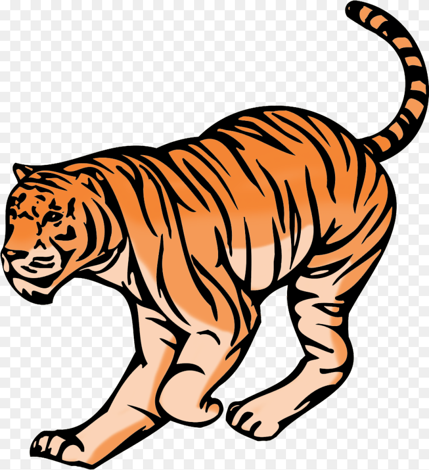 Tiger Clipart Tiger, Animal, Mammal, Wildlife, Baby Transparent PNG