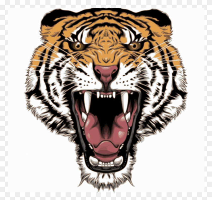 1555x1462 Тигр Дизайн Прозрачный, Дикая Природа, Млекопитающее, Животное Png Скачать