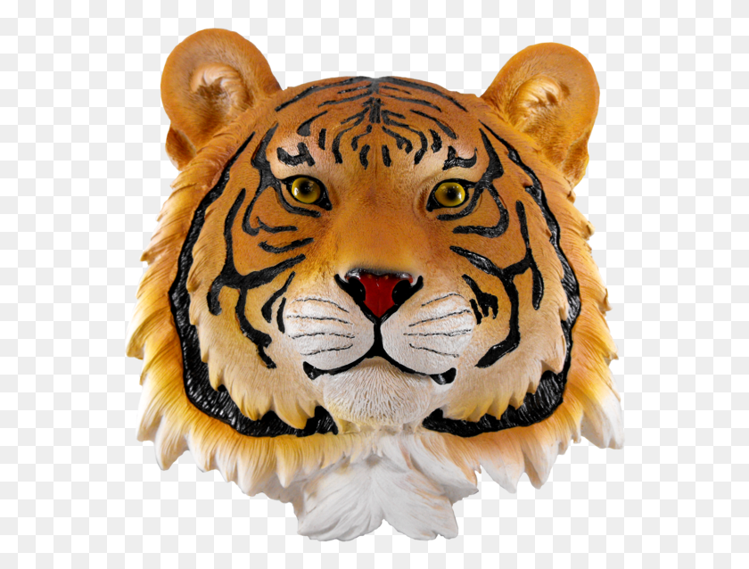 564x578 Tiger Face, Tiger, Wildlife, Mammal HD PNG Download