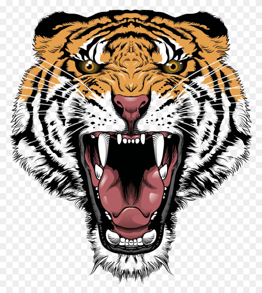 834x941 Tiger Face Transparent 406 Tiger Face, Animal, Mammal, Wildlife HD PNG Download