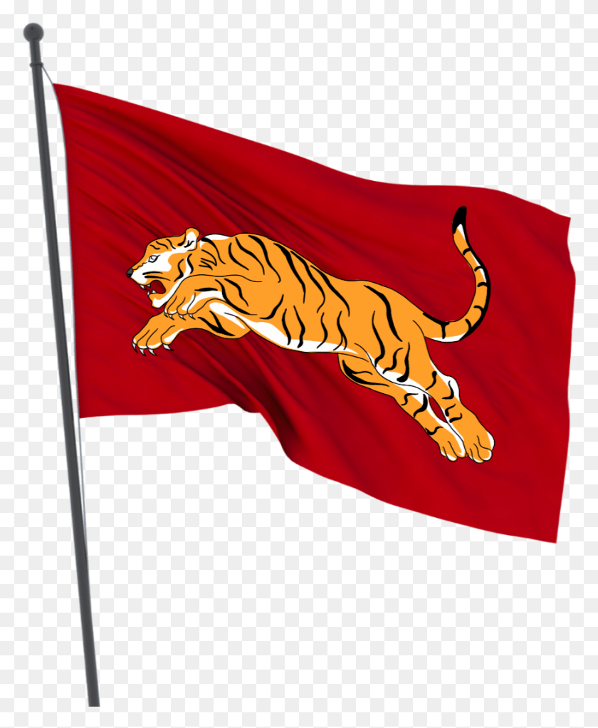 874x1078 Tiger Flag In Cholas Symbol Of The Cholas Tiger, American Flag, Wildlife, Mammal HD PNG Download