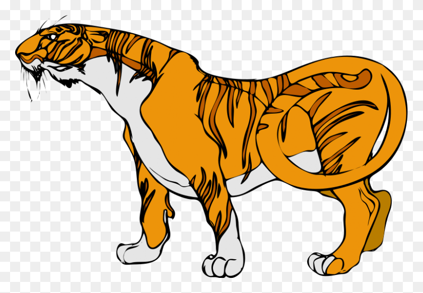 800x536 Tiger Images 2 Image 8 Images Clipart Big Animals Clip Art, Mammal, Animal, Wildlife HD PNG Download