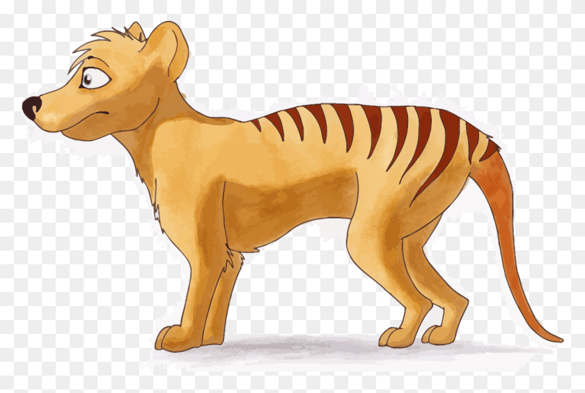 1285x832 Тасманский Тигр, Млекопитающее, Животное, Лошадь Png Скачать