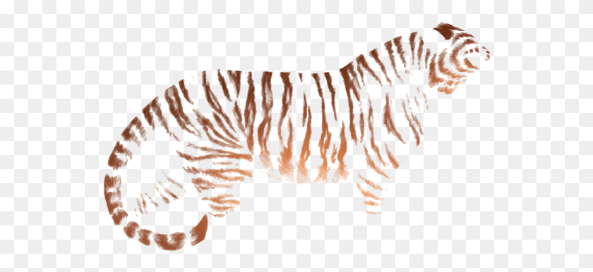550x326 Tiger Stripes Lioden, Alfombra, Mamífero, Animal Hd Png