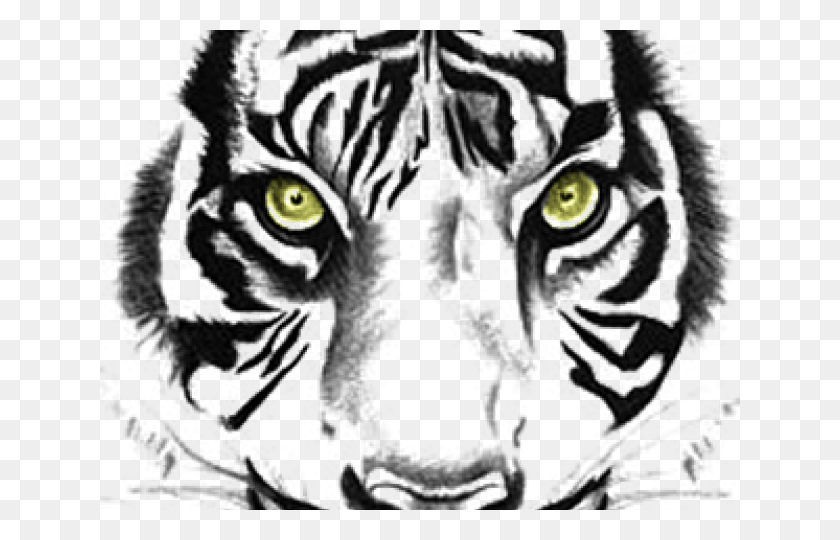 640x480 Tiger Tattoos Transparent Images Tiger Face Clipart Black And White, Pattern, Ornament, Fractal HD PNG Download