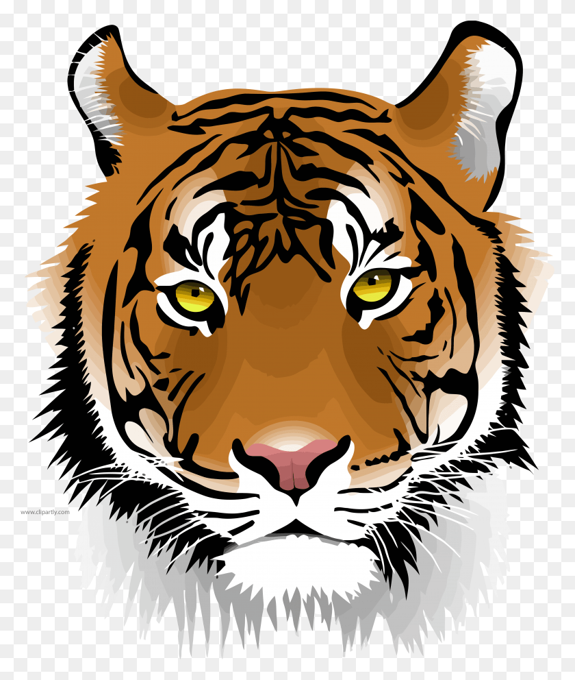 4213x5034 Tiger Wild Face Clipart Tiger, Mammal, Animal, Wildlife HD PNG Download