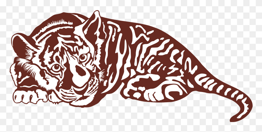 1281x595 Tiger Wildcat Sumatran Tiger Image Tiger Sleeping Clip Art, Animal, Reef, Sea Life HD PNG Download