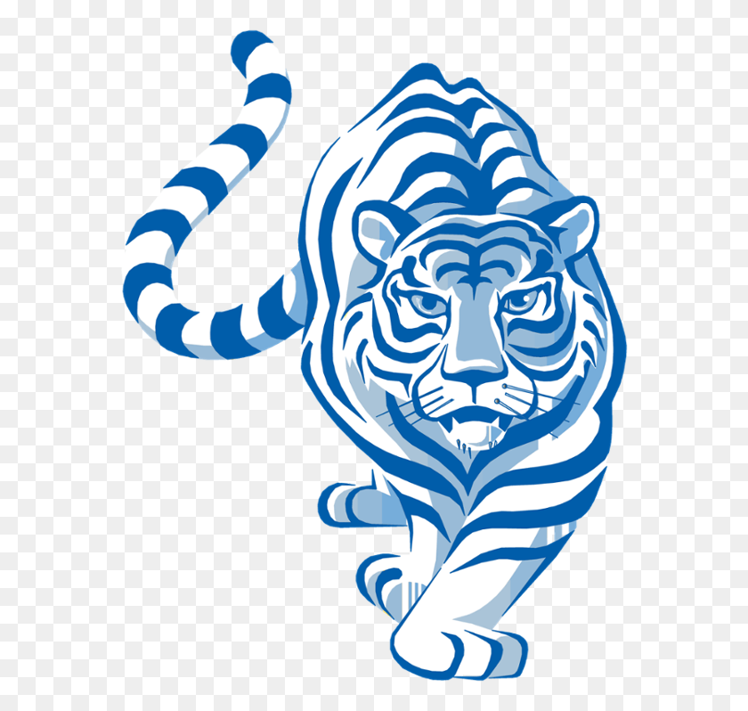 576x738 Tigers Soccer Club Quakers Hill Tigres De Ciego De Avila, Animal, Person, Human HD PNG Download