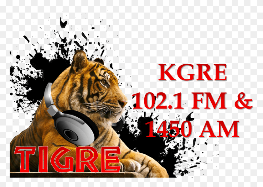829x570 Тигре Радио Лондонский Зоопарк, Тигр, Дикая Природа, Млекопитающие Hd Png Скачать