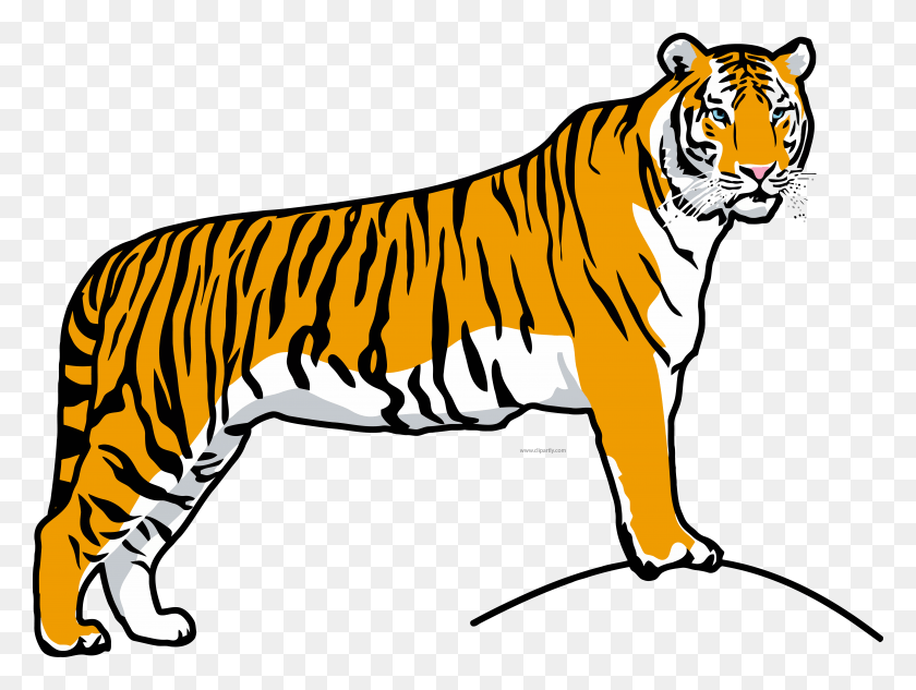7134x5245 Tiiger Clipart Tiger Run Tiger Clipart, Wildlife, Mammal, Animal HD PNG Download