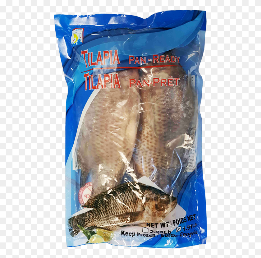 495x770 Tilapia Home Tilapia Fish Products, Animal, Carp, Food HD PNG Download