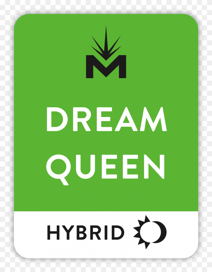 1421x1857 Tile Dreamqueen Graphic Design, First Aid, Advertisement, Symbol HD PNG Download