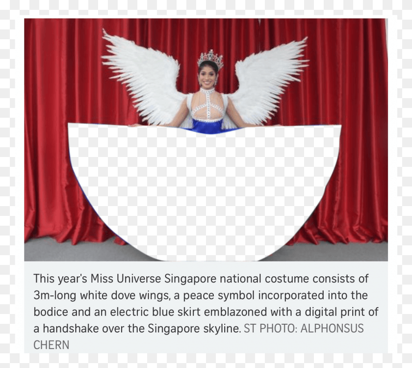1222x1081 Tiempo Para Meme Miss Universo Singapur Traje Nacional 2018, Pájaro, Animal Hd Png