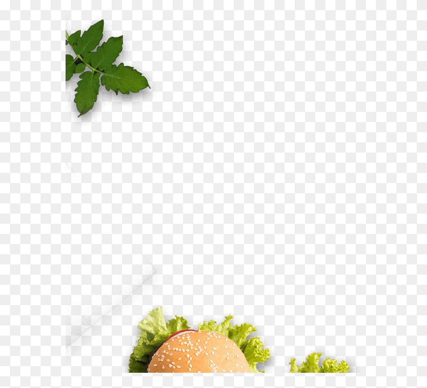582x703 Timing Cantaloupe, Plant, Lunch, Meal HD PNG Download