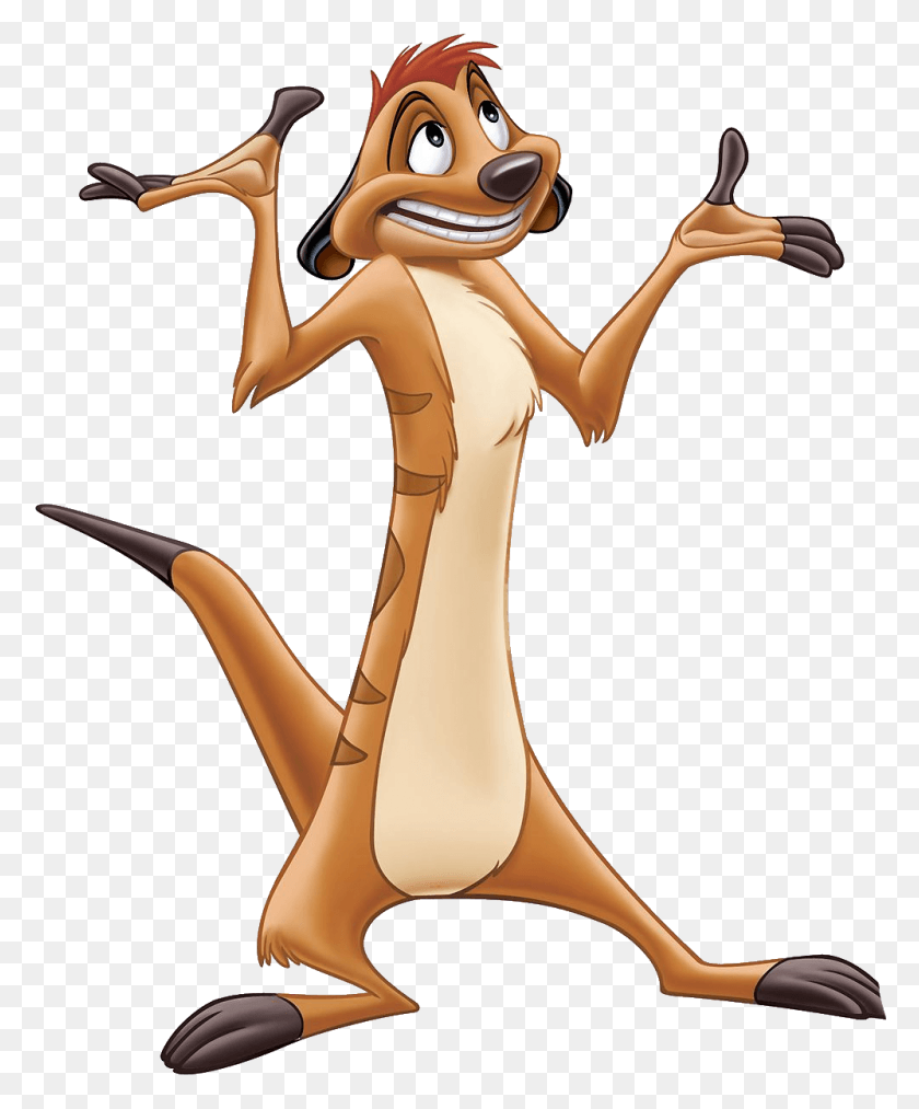 998x1220 Timon Lion King, Figurine HD PNG Download