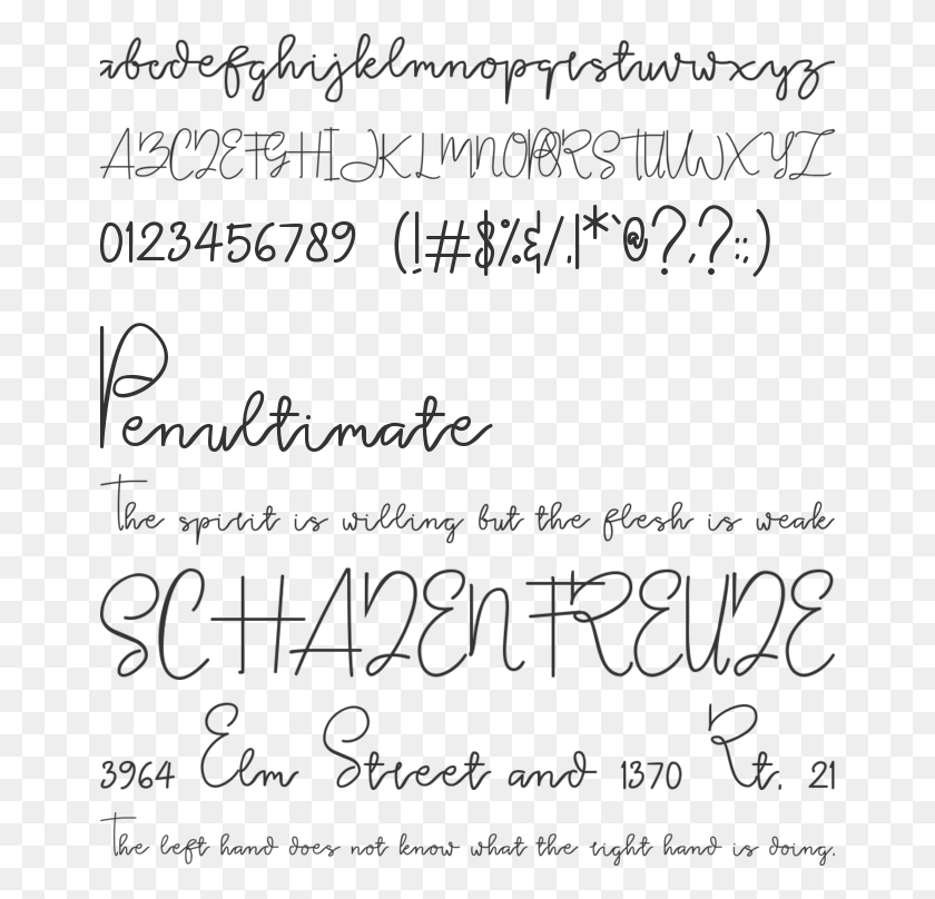660x748 Tinta Font Preview Почерк, Текст, Каллиграфия, Письмо Png Скачать