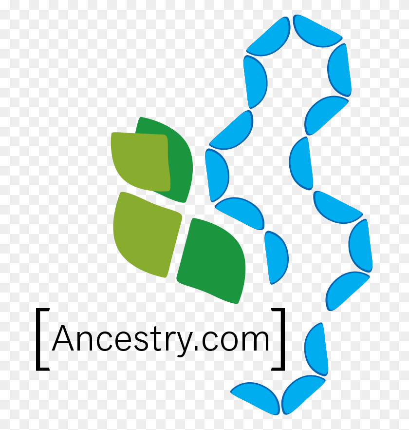 691x822 Tips And Tricks For Ancestry Graphic Design, Tree, Plant, Number HD PNG Download