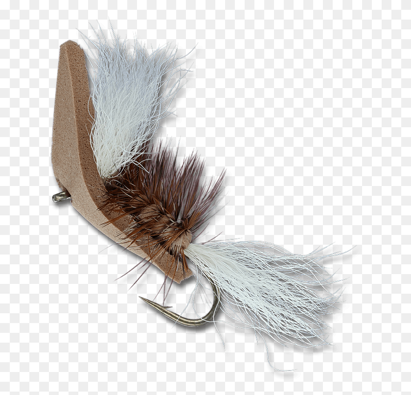 642x747 Titanic Tan Feather, Bird, Animal, Insecto Hd Png