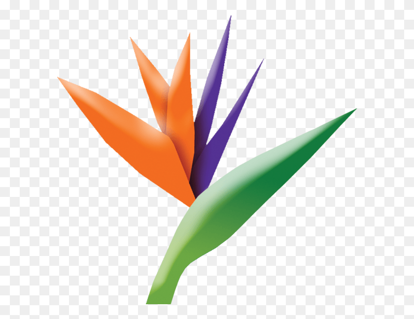 610x588 Tlp Logo Райская Птица, Растение, Цветок, Цветение Hd Png Скачать