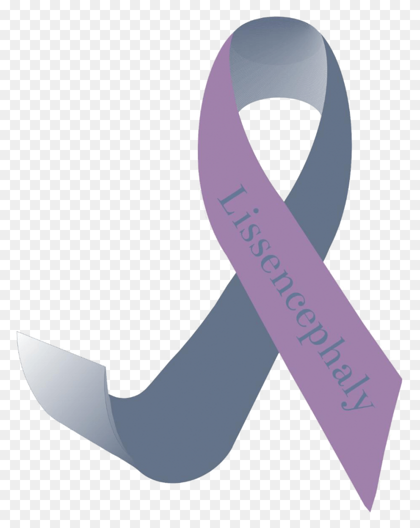 921x1177 To Assist The Lissencephaly Community With Their Effort Lissencephaly Awareness, Sash HD PNG Download