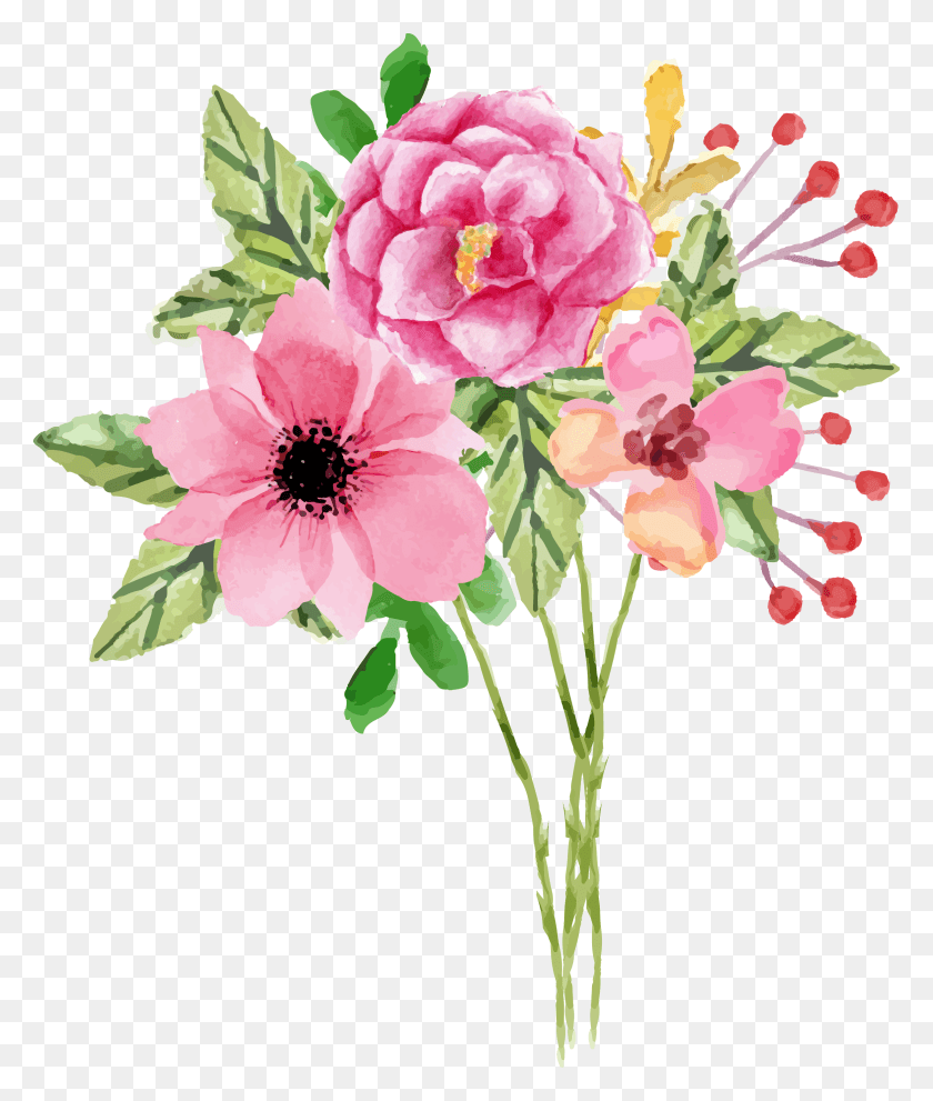 2354x2811 To Click The Following, Plant, Flower, Blossom HD PNG Download