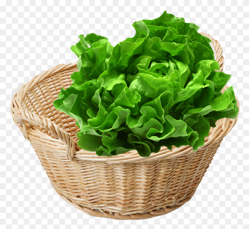 964x884 To Date More Than 100 Supermarkets Carry Our Products Leafy Green Vegetables, Plant, Basket, Lettuce HD PNG Download