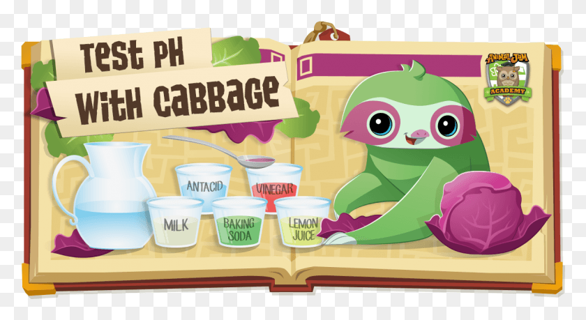 1153x590 To Find Out How To Test Ph With Cabbage Here Is The National Geographic Animal Jam, Toy, Food, Bowl Descargar Hd Png