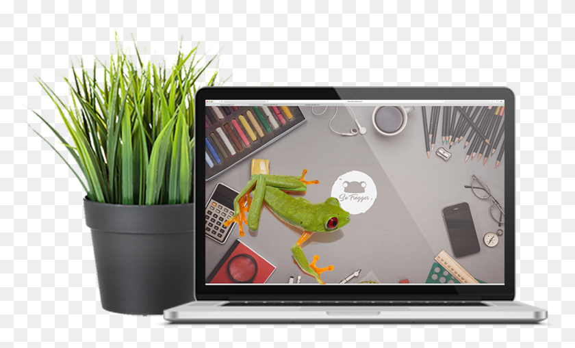 973x561 To Help Your Buisness Stand Out Of The Crowd Flowerpot, Gecko, Lizard, Reptile HD PNG Download