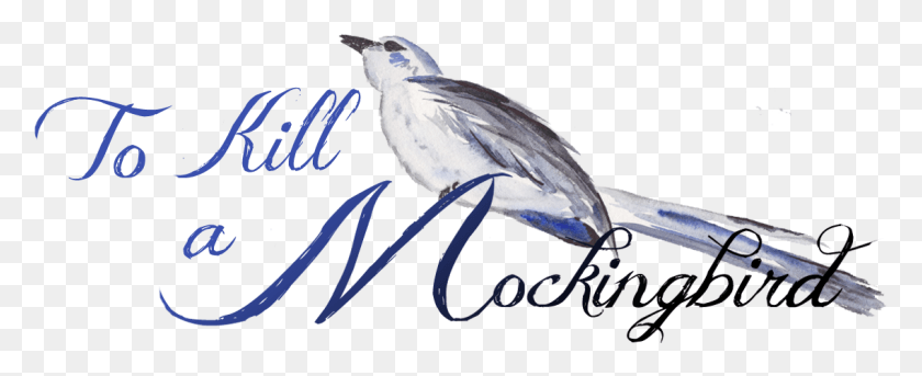 1135x413 To Kill A Mockingbird, Bird, Animal, Sea Life HD PNG Download