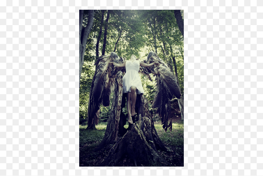 335x501 To Wear A Dead Bird39S Wings Girl With Wings Photography, Tree, Plant, Clothing Descargar Hd Png