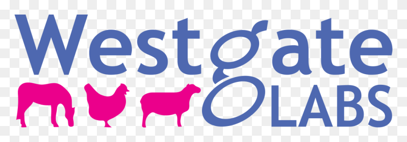 1024x307 To Worm Or Not To Worm Goat, Text, Alphabet, Logo HD PNG Download