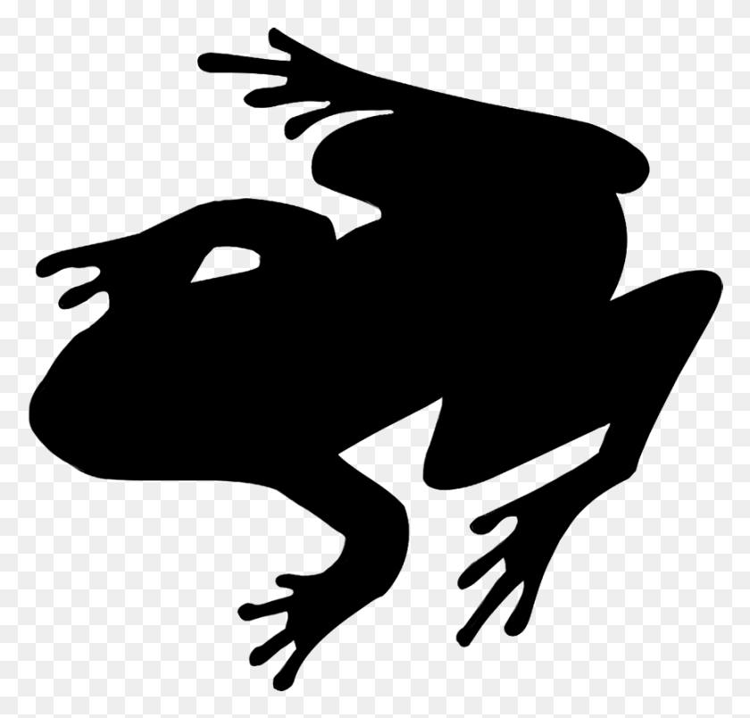 865x826 Toad Clipart Silhouette Frog Silhouette No Background, Gray, World Of Warcraft HD PNG Download