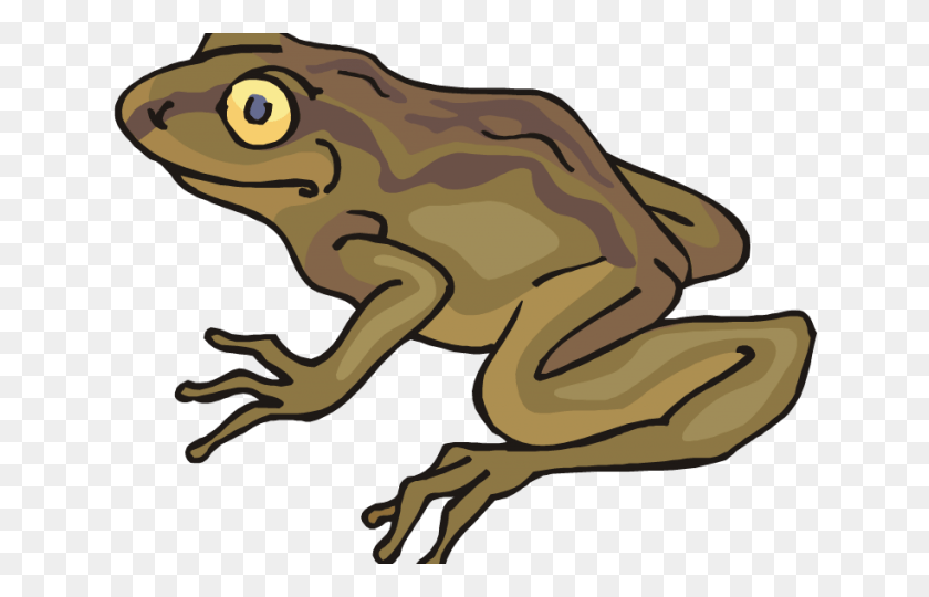 640x480 Toad Clipart Simple Clip Art, Frog, Amphibian, Wildlife HD PNG Download