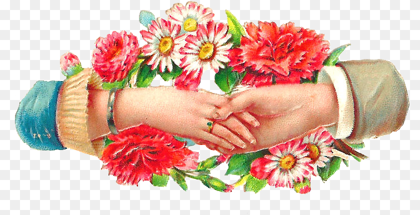 797x430 Toe, Flower Arrangement, Plant, Flower, Flower Bouquet PNG