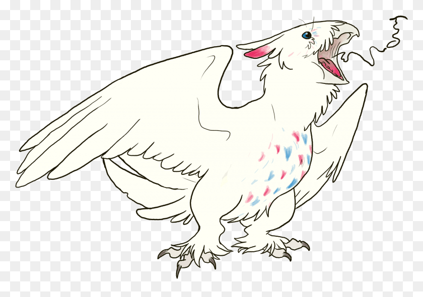 2275x1550 Togekiss Accipitriformes, Bird, Animal, Vulture HD PNG Download